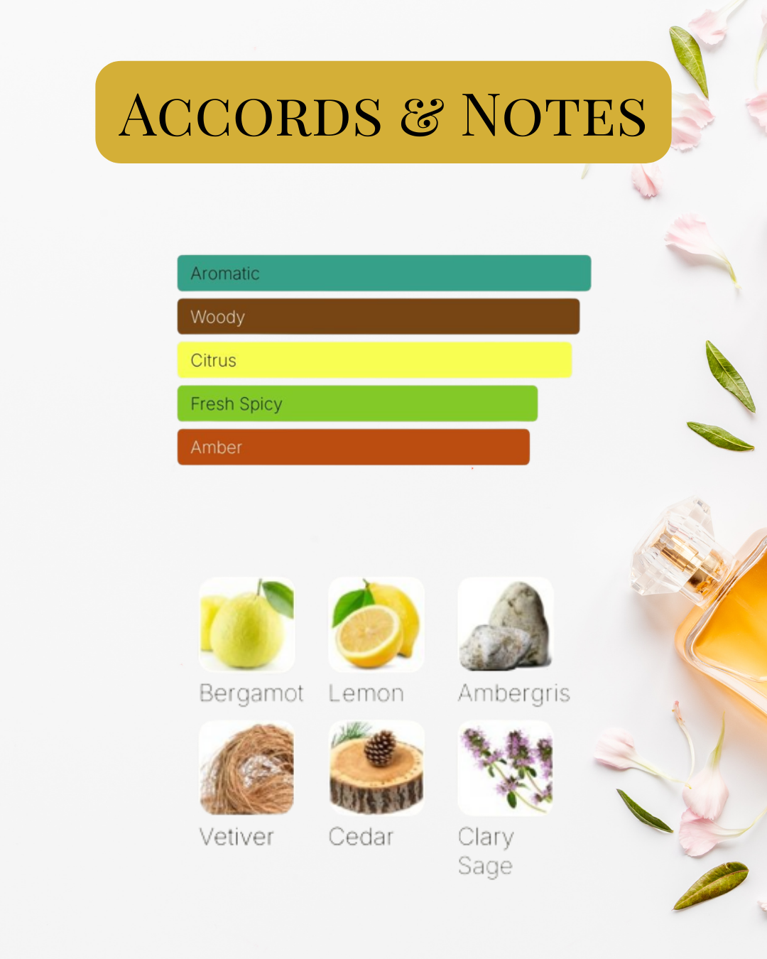 Notes et accords