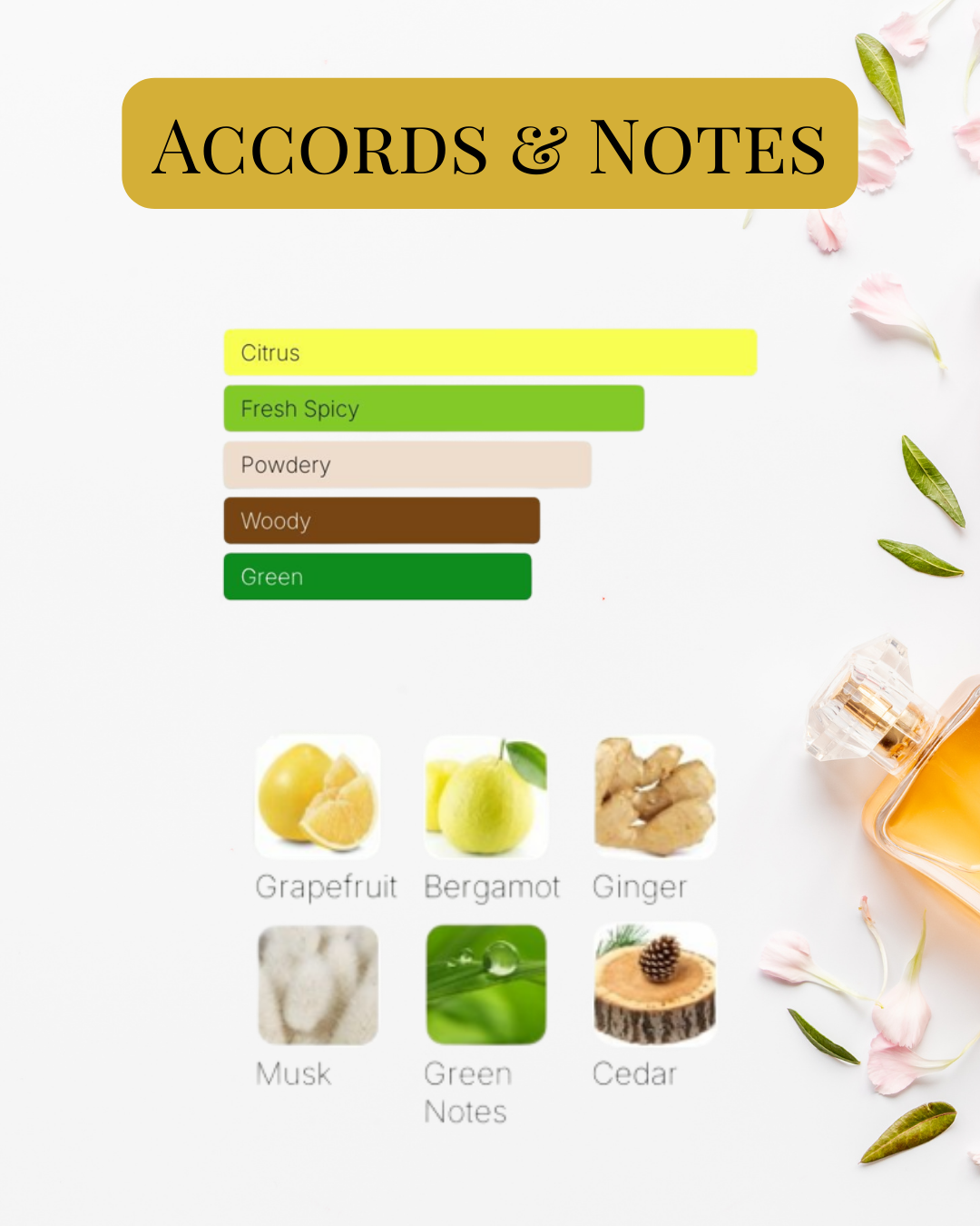 Notes and Accords