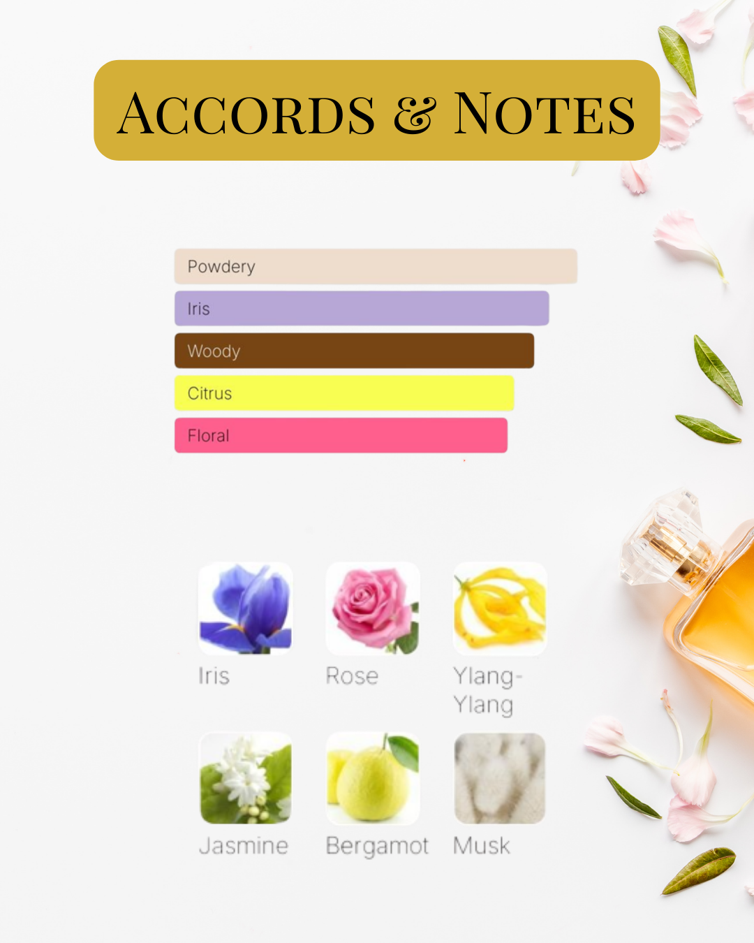Notes et accords