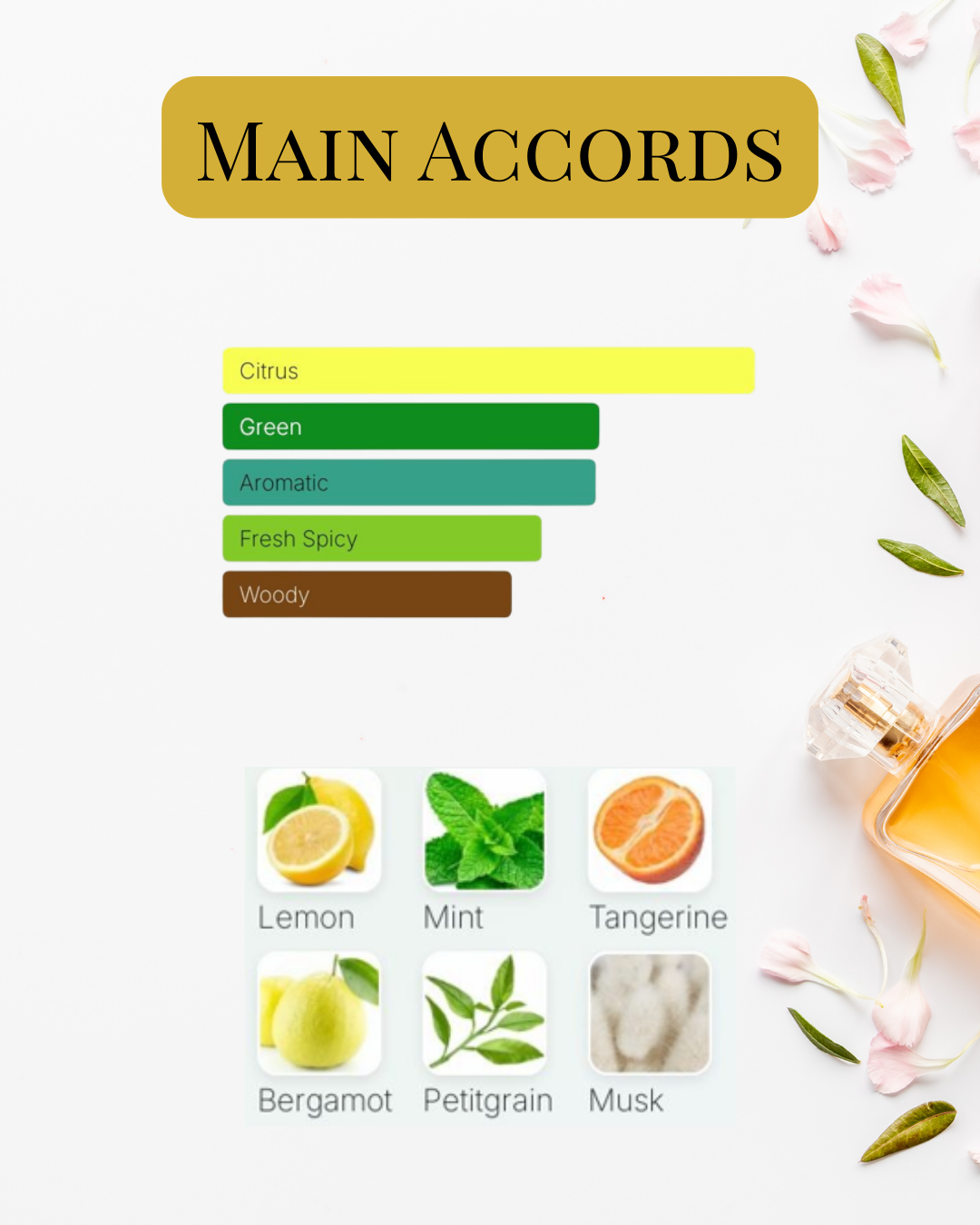 Notes et accords