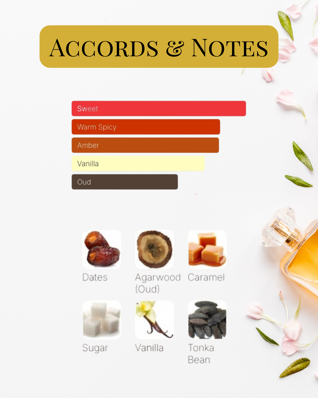 Notes and Accords