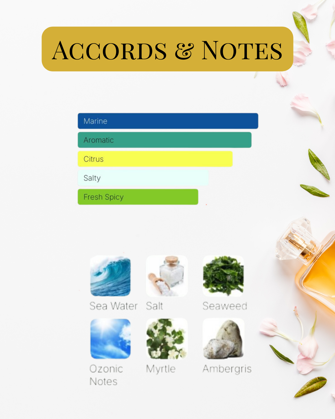 Notes et accords