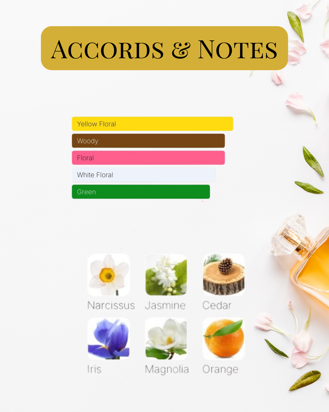 Notes et accords