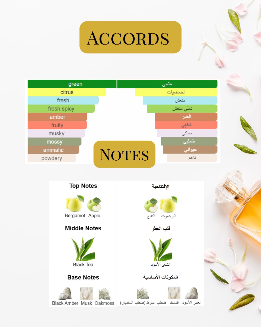 Notes and Accords