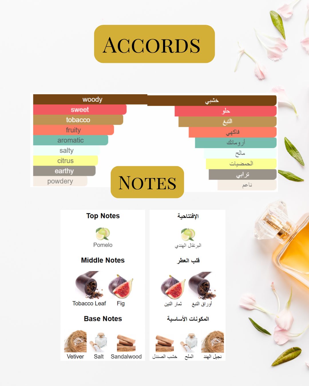 Notes and Accords