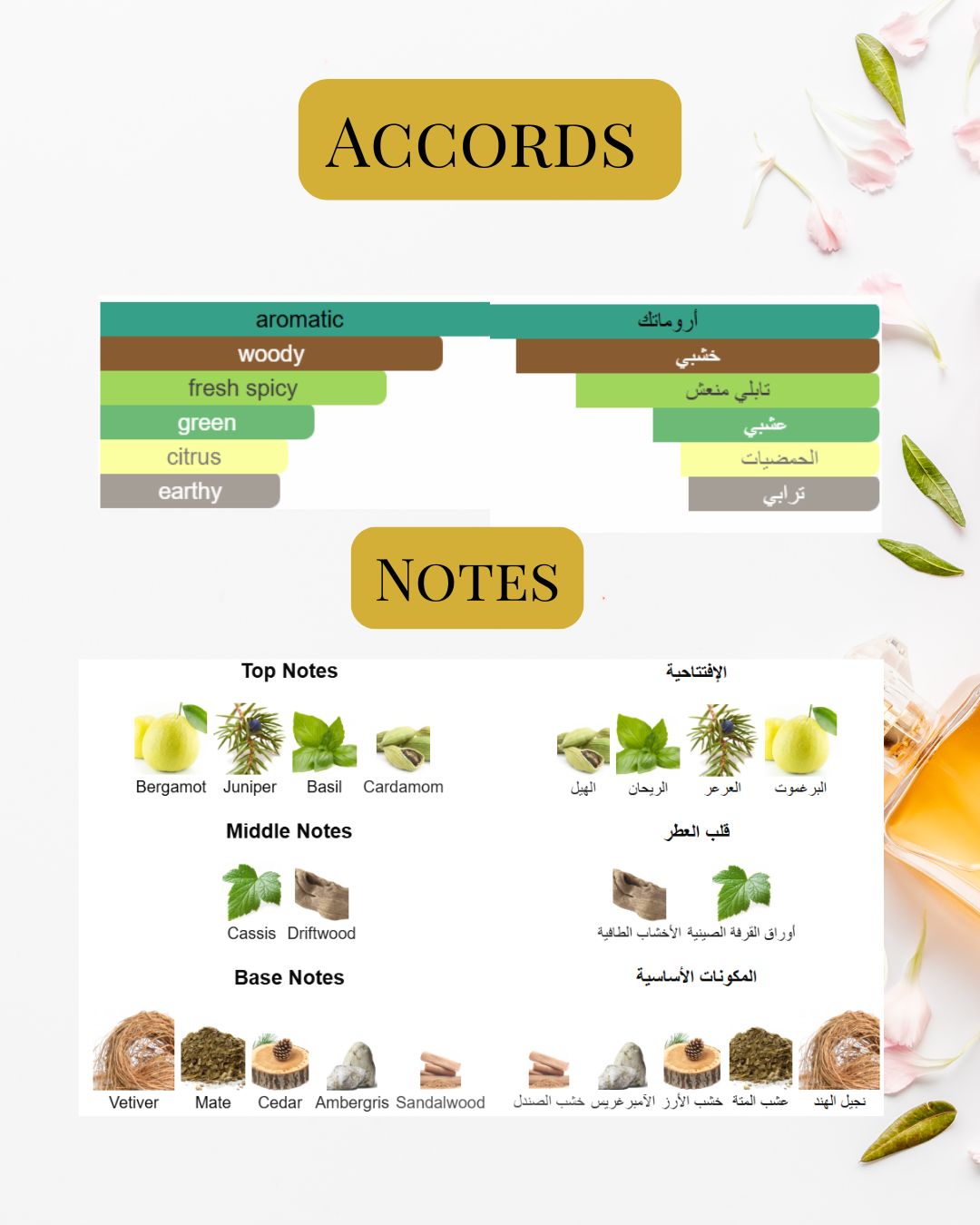 Notes and Accords