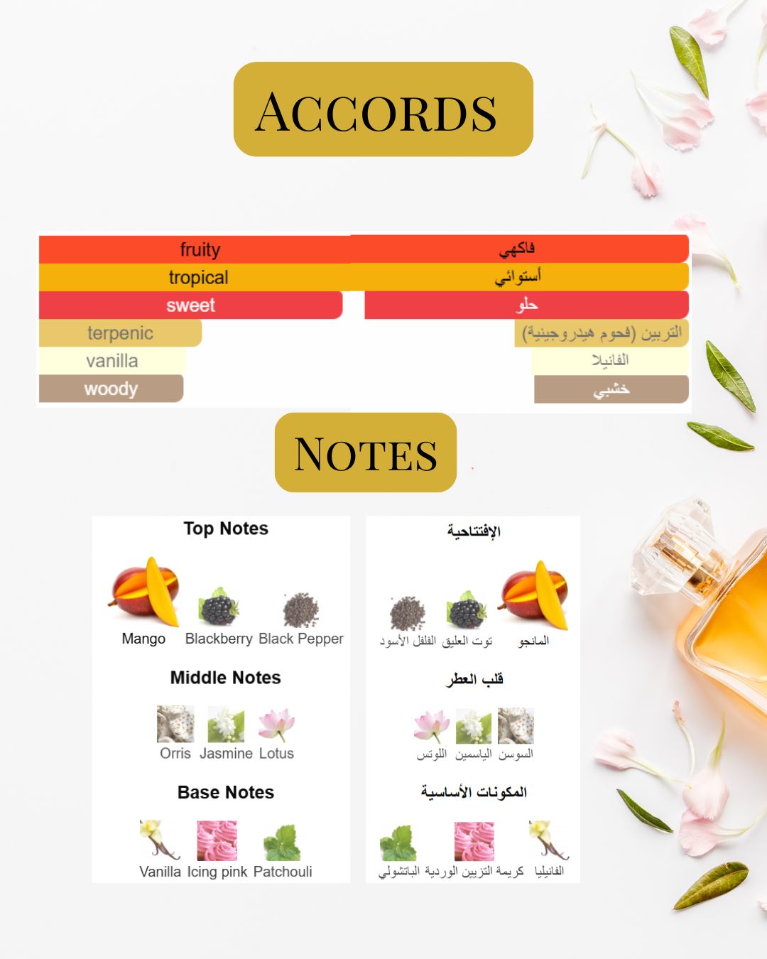 Notes and Accords