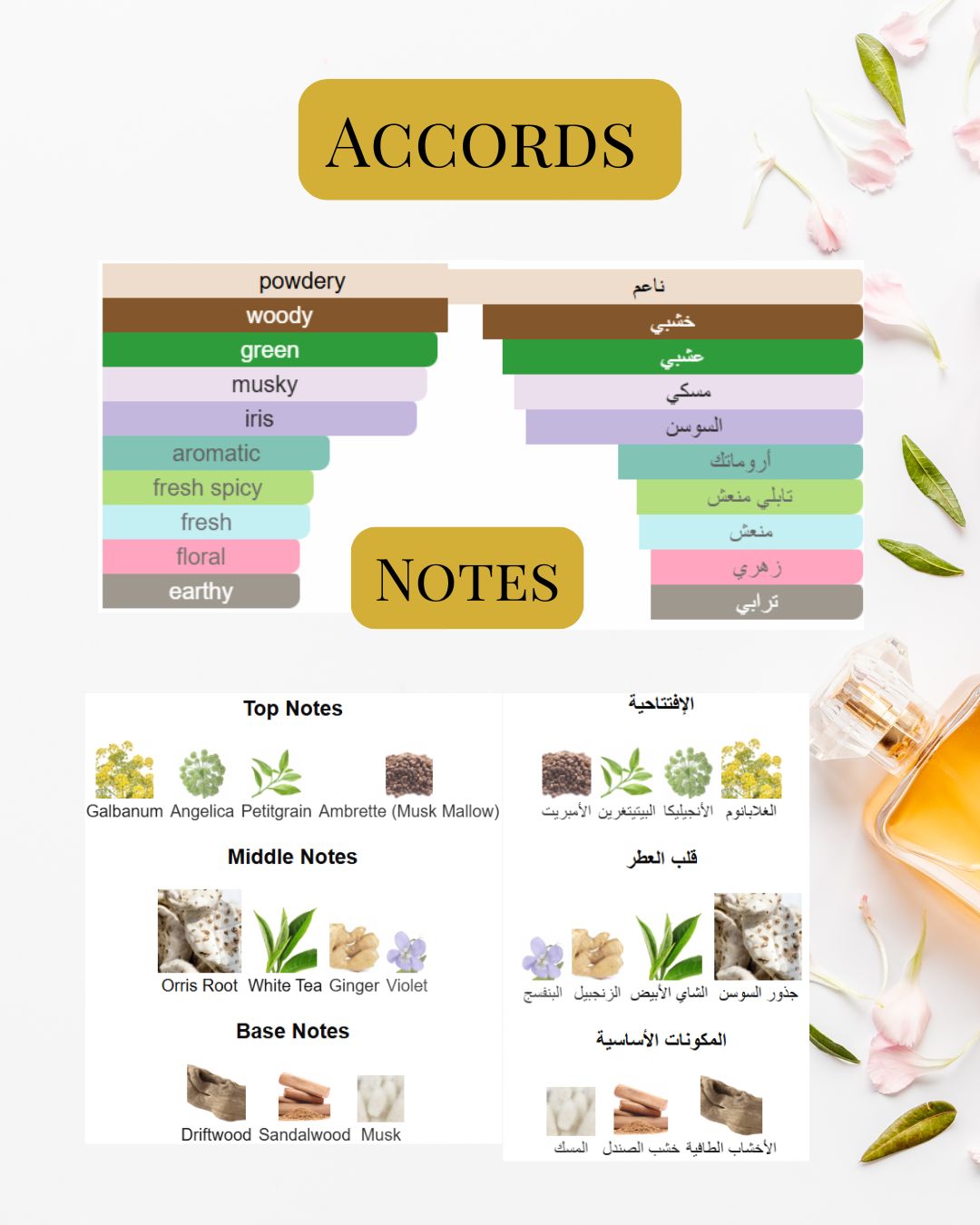 Notes and Accords