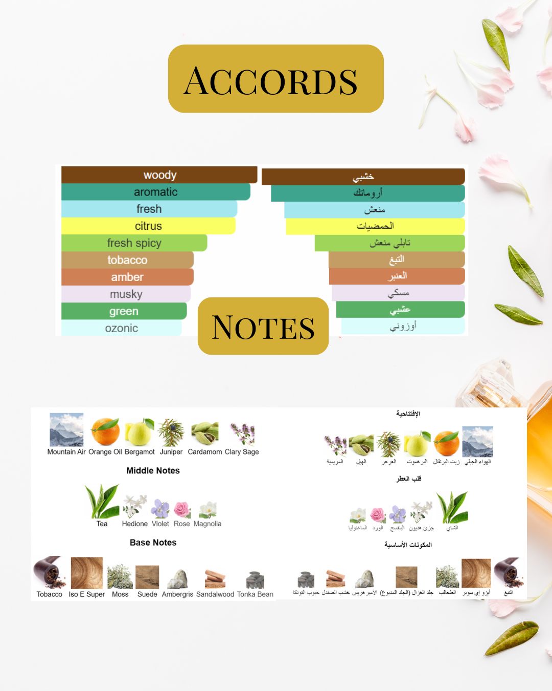 Notes and Accords