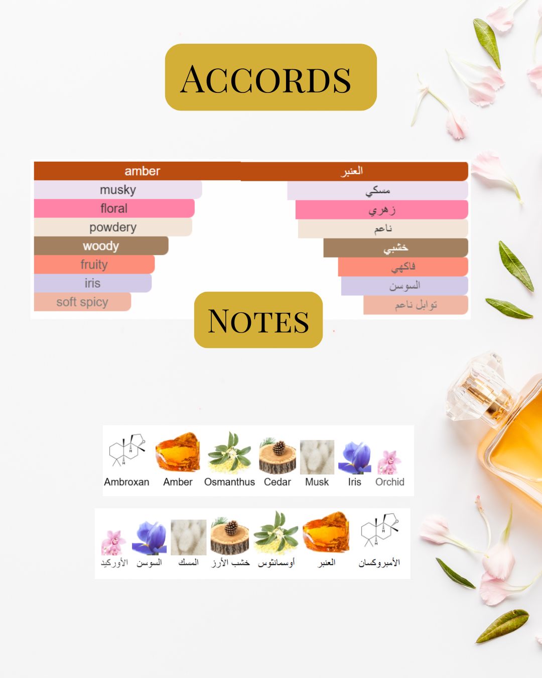 Notes and Accords