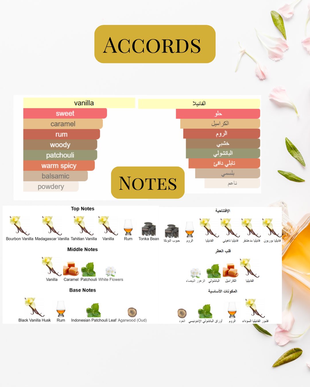 Notes and Accords