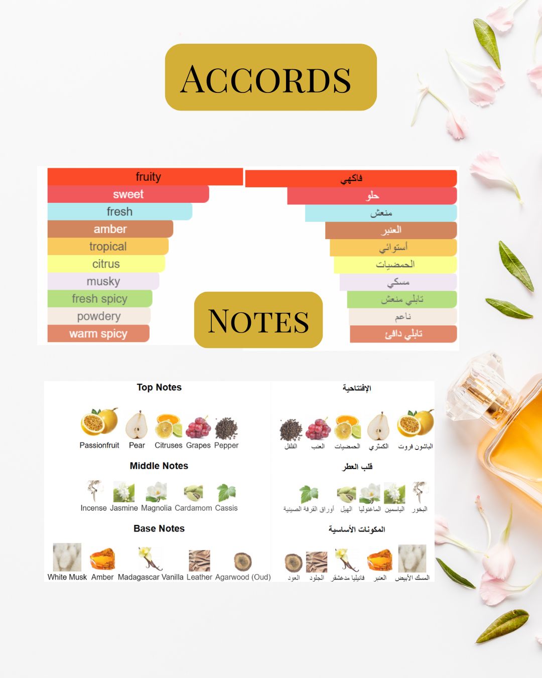 Notes and Accords