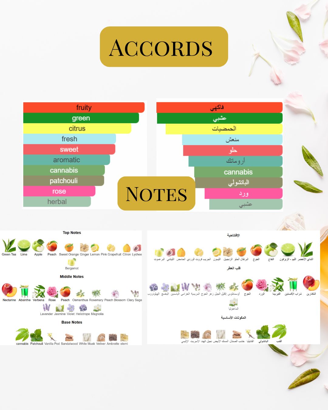 Notes and Accords