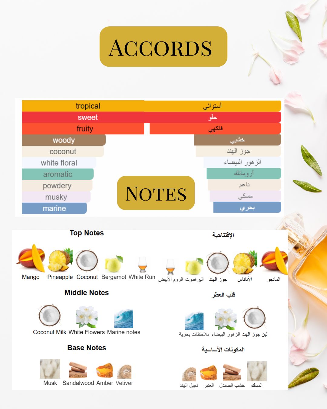 Notes and Accords