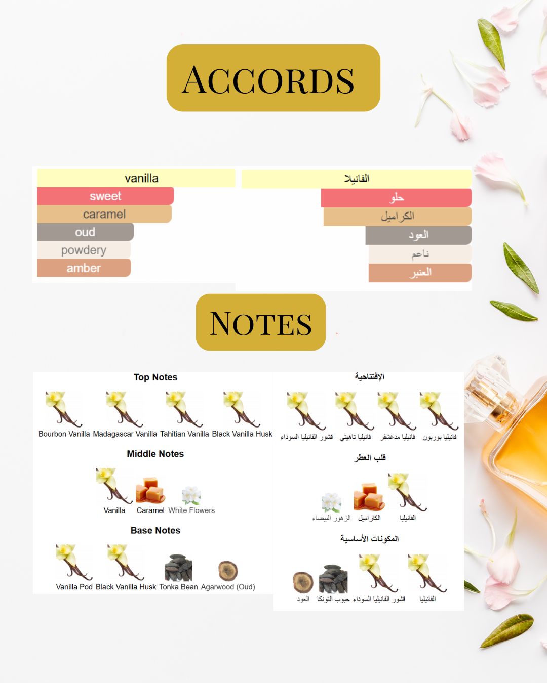 Notes and Accords