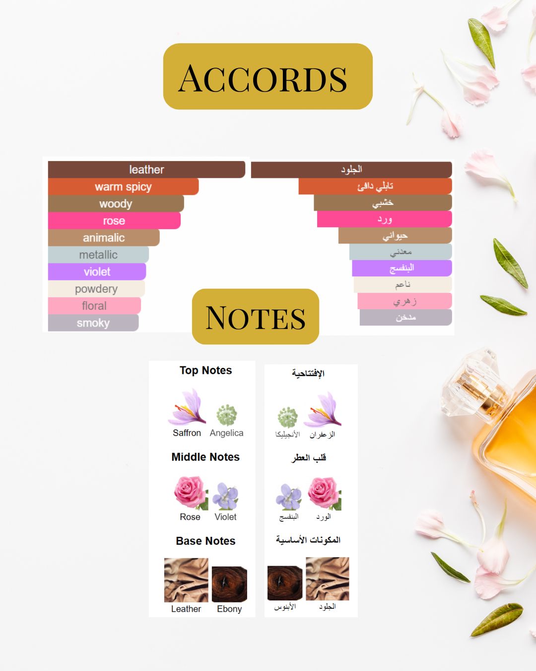 Notes and Accords