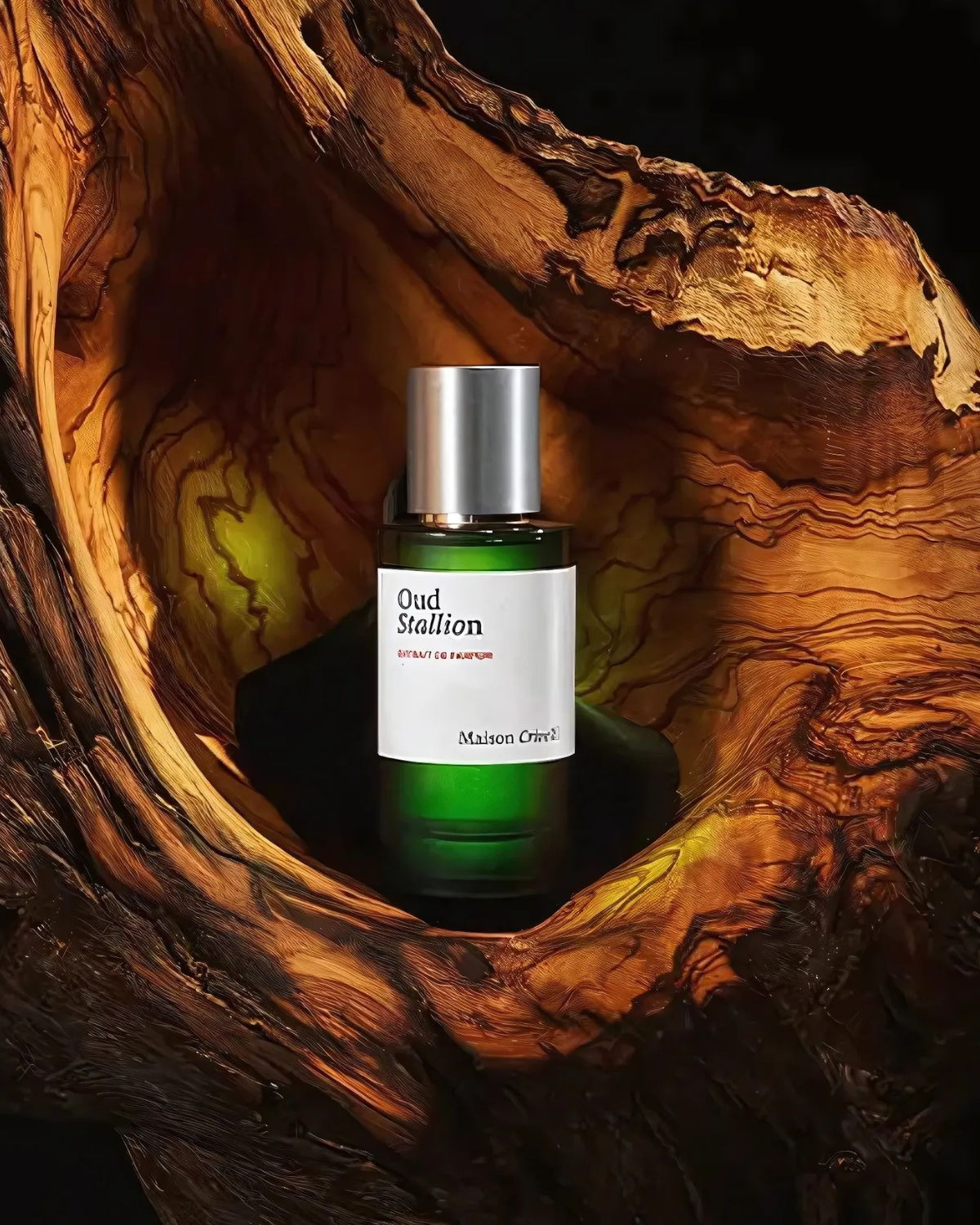 ميزون كريفيللي عود ستاليون