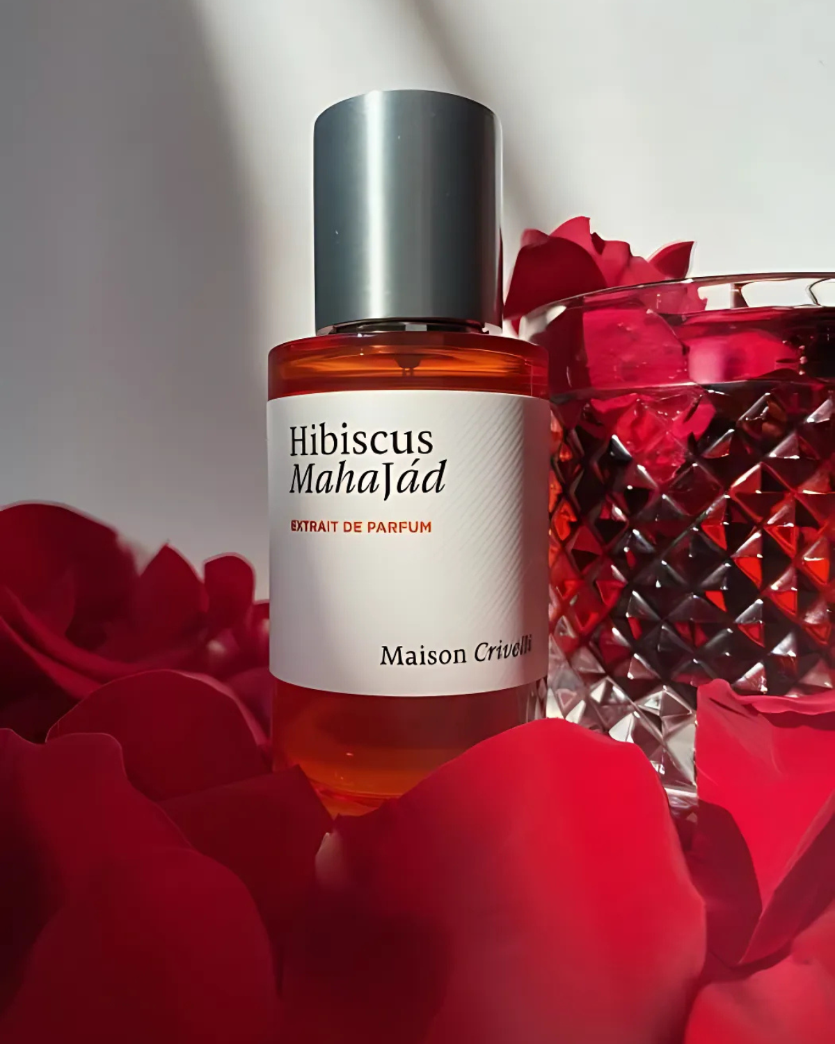 Maison Crivelli Hibiscus Mahajád