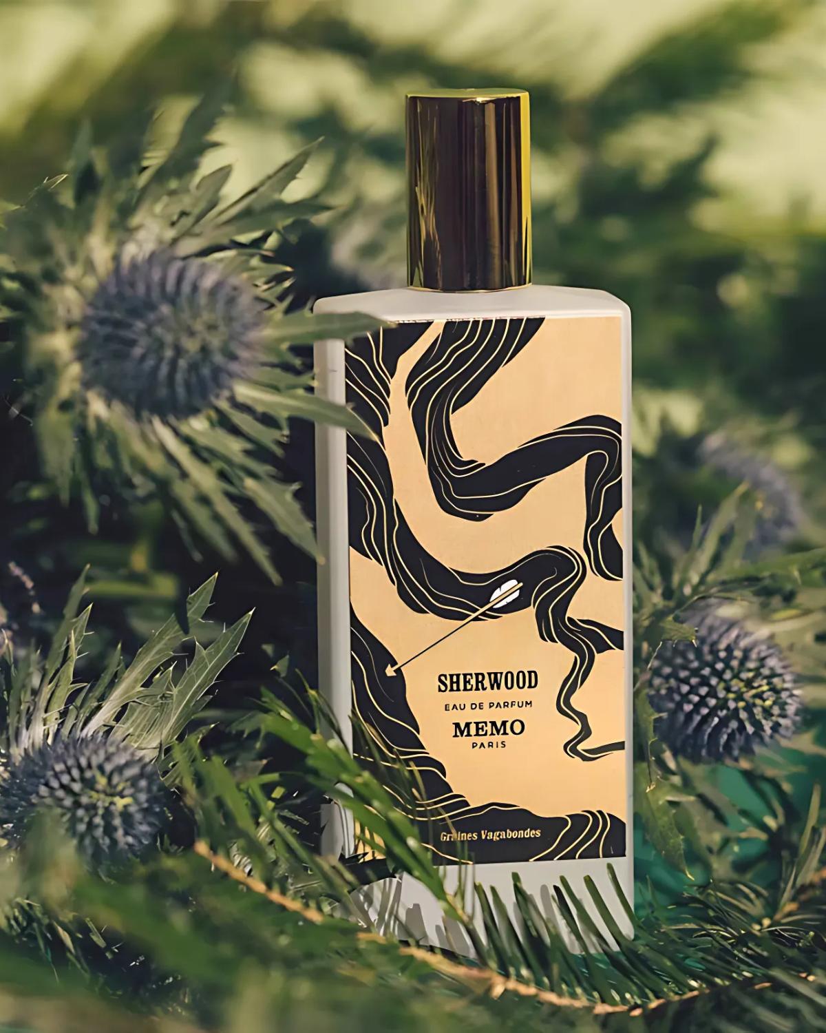 ميمو باريس شيروود