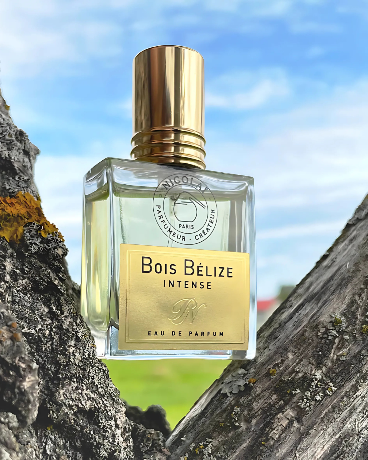 نيكولاي بوا بليز إنتنس