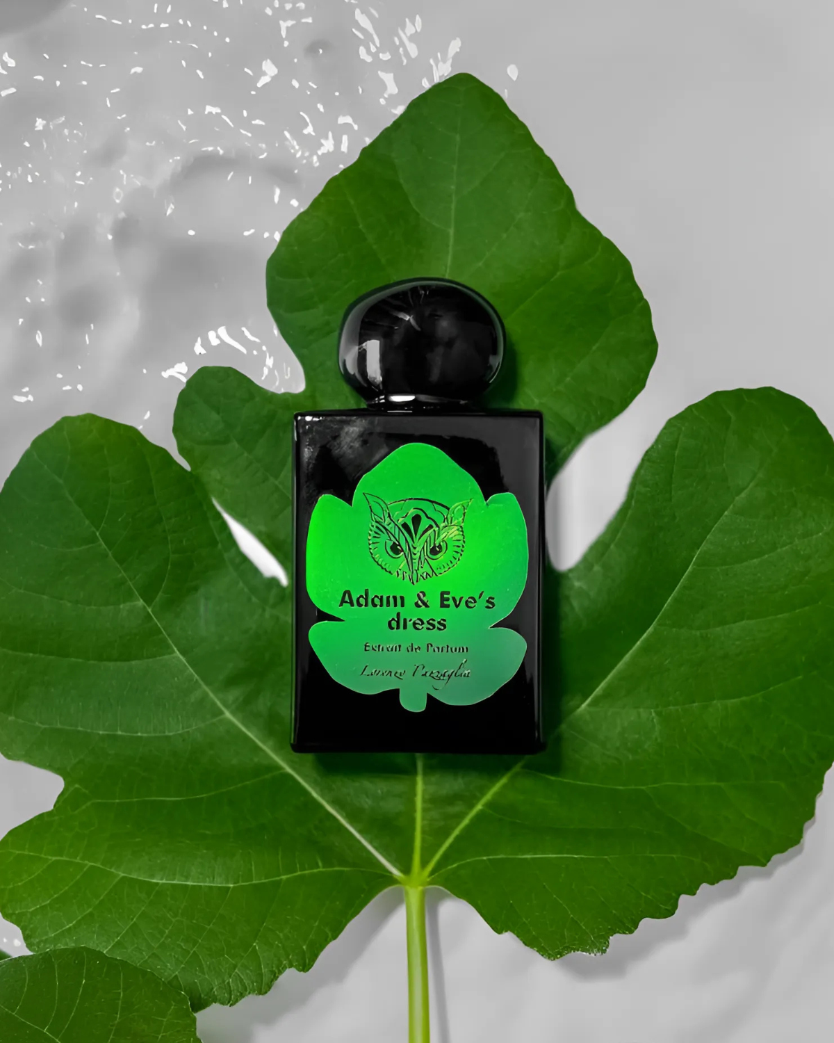 لورينزو بازاغليا آدم آند إيفز دريس