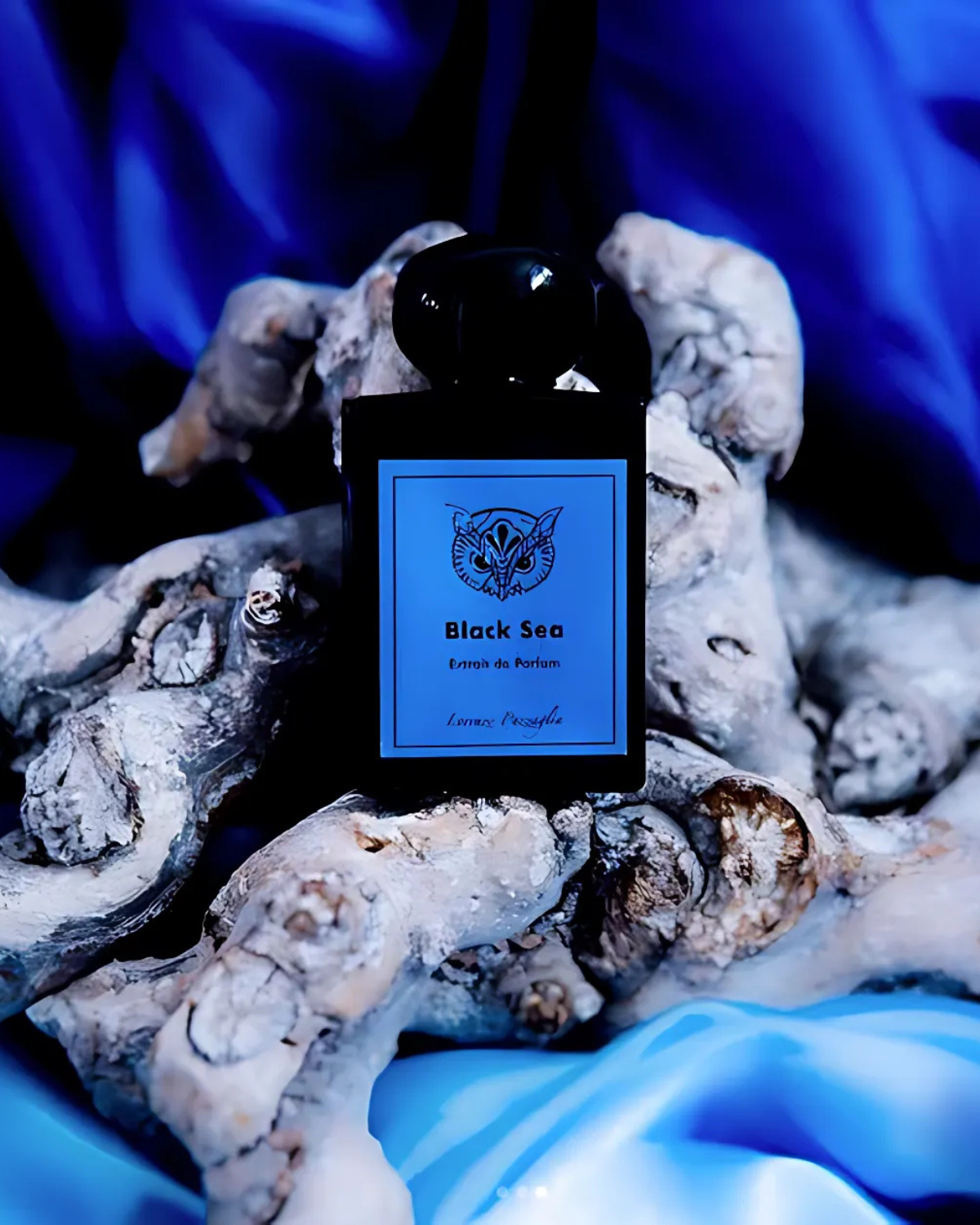 Lorenzo Pazzaglia Mer Noire