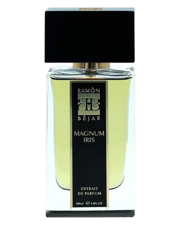 رامون بيجار ماغنوس إيريس