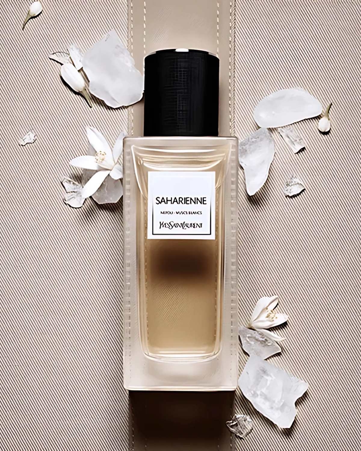 YSL Saharienne
