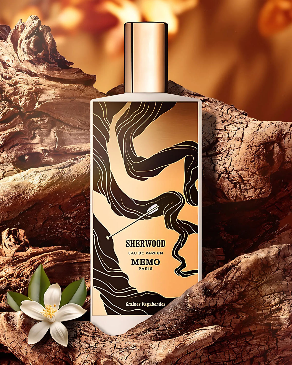 ميمو باريس شيروود