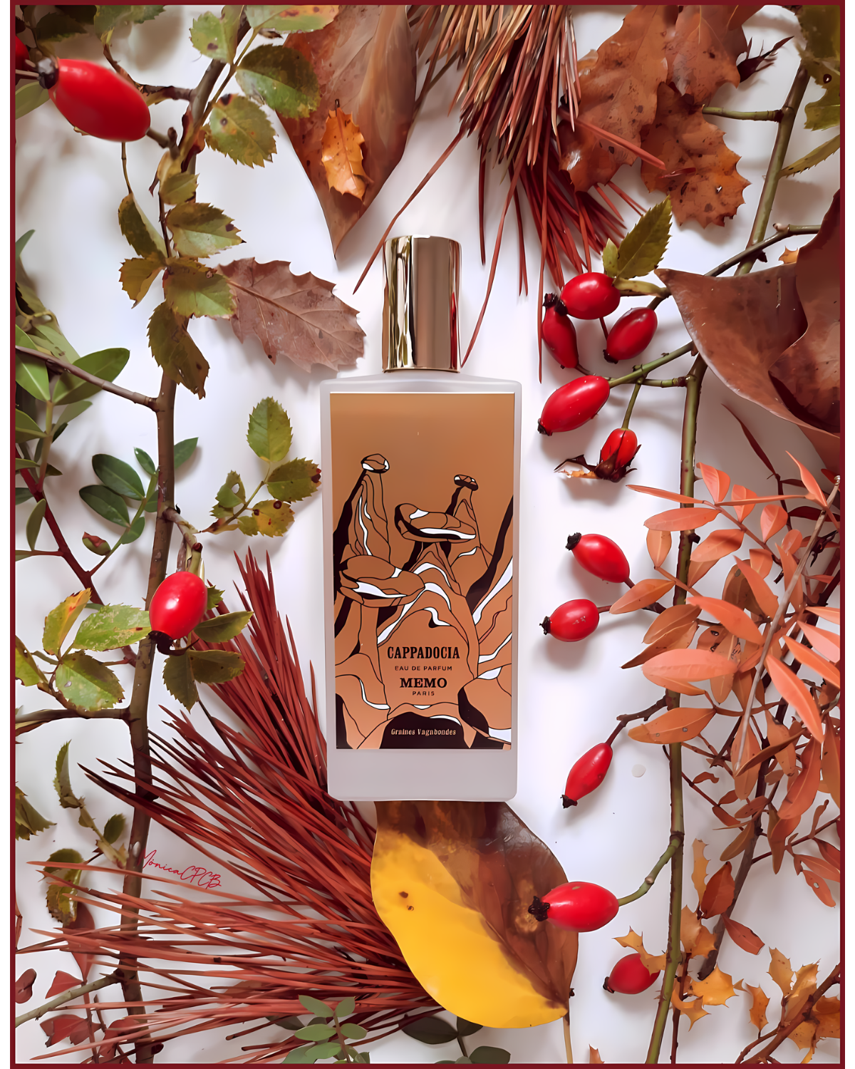 Mémo Paris Cappadoce