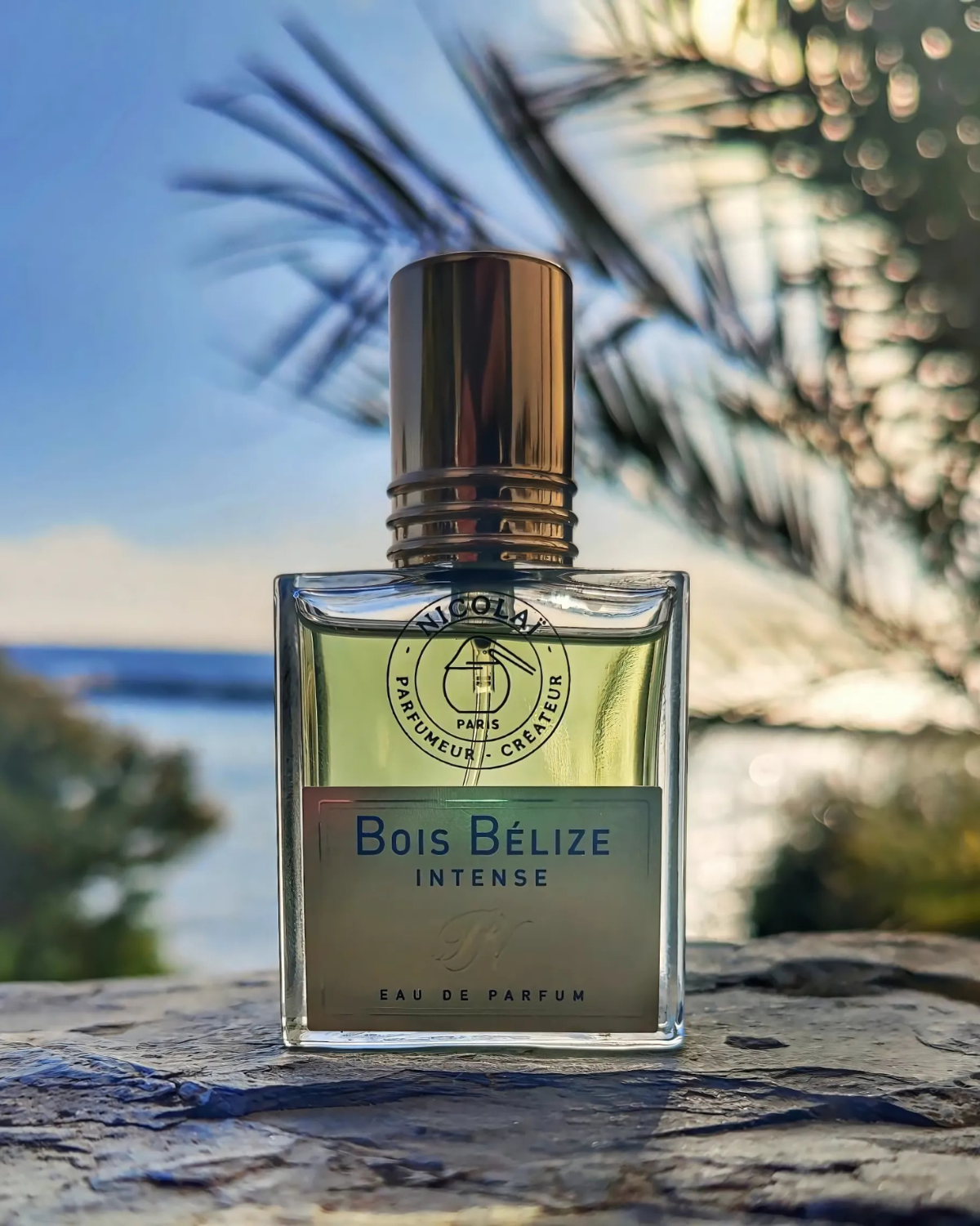 نيكولاي بوا بليز إنتنس