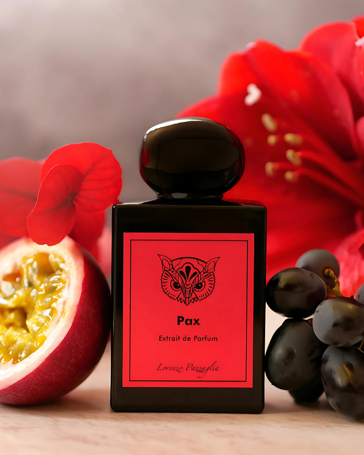 Lorenzo Pazzaglia Pax