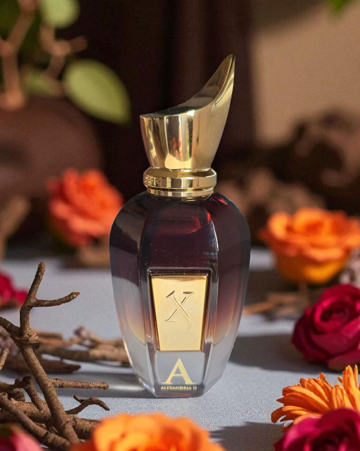 Xerjoff Alexandrie II