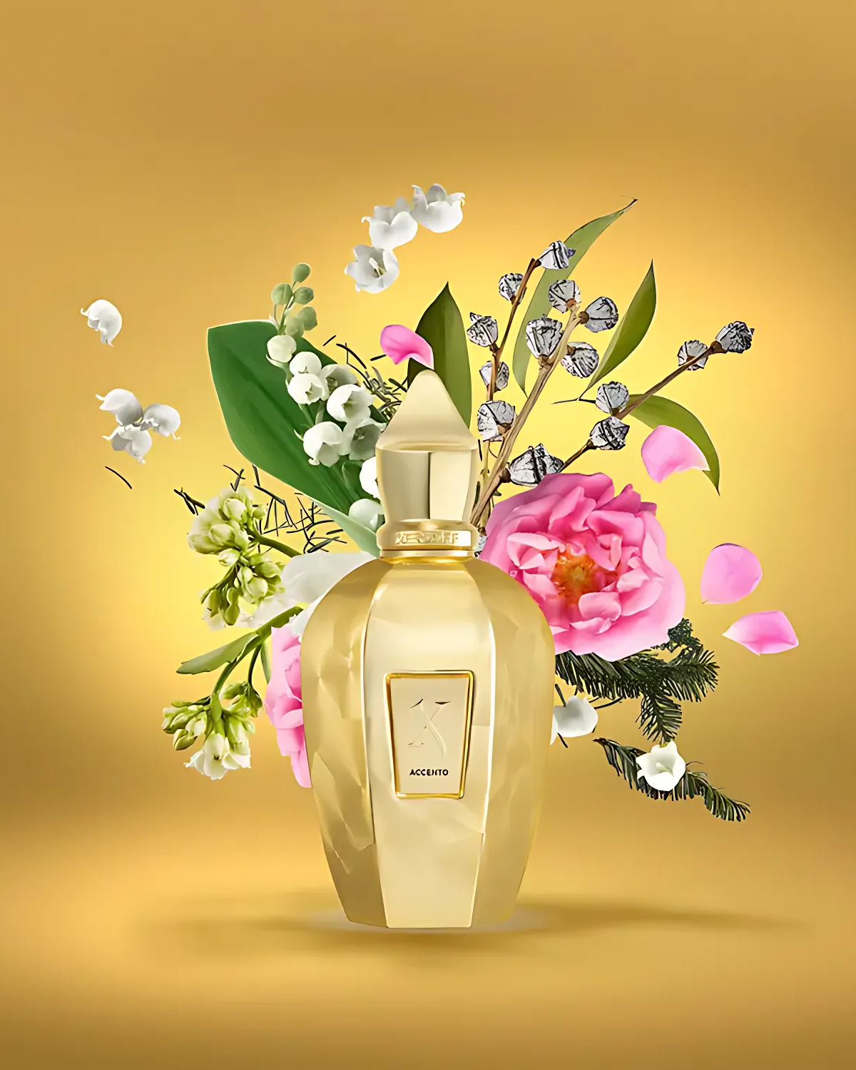 Surdose de Xerjoff Accento