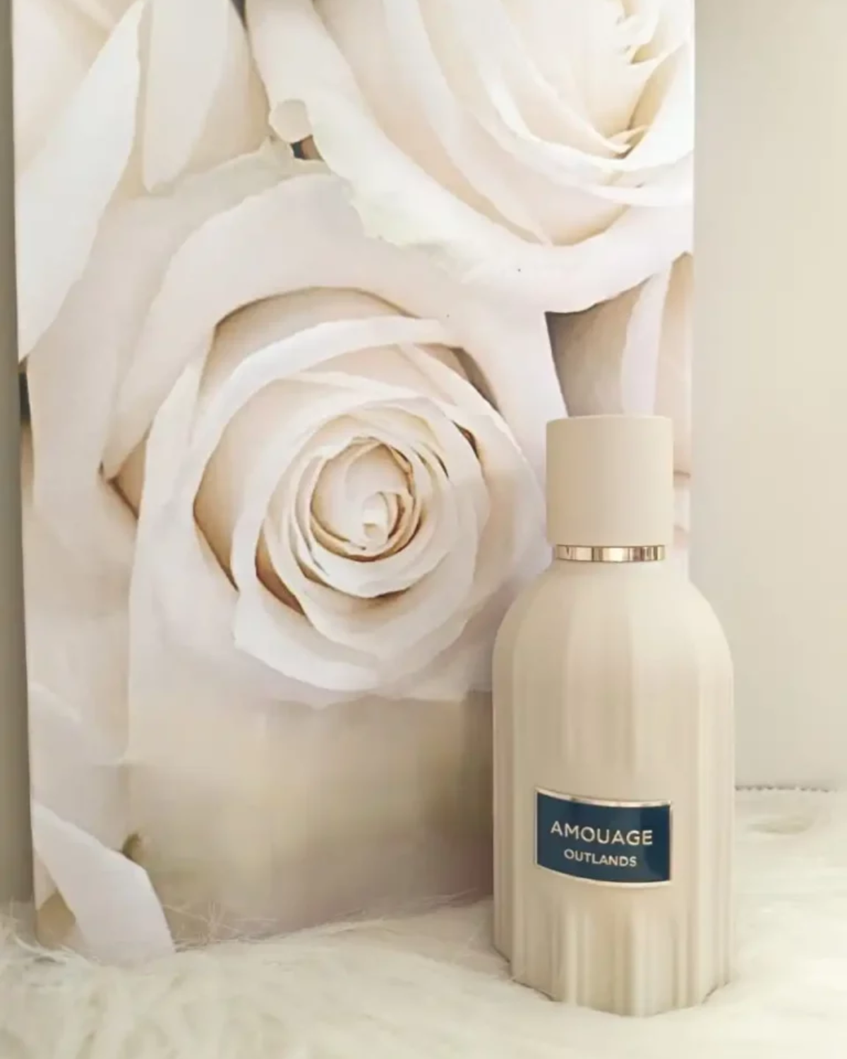 أمواج أوتلاندز