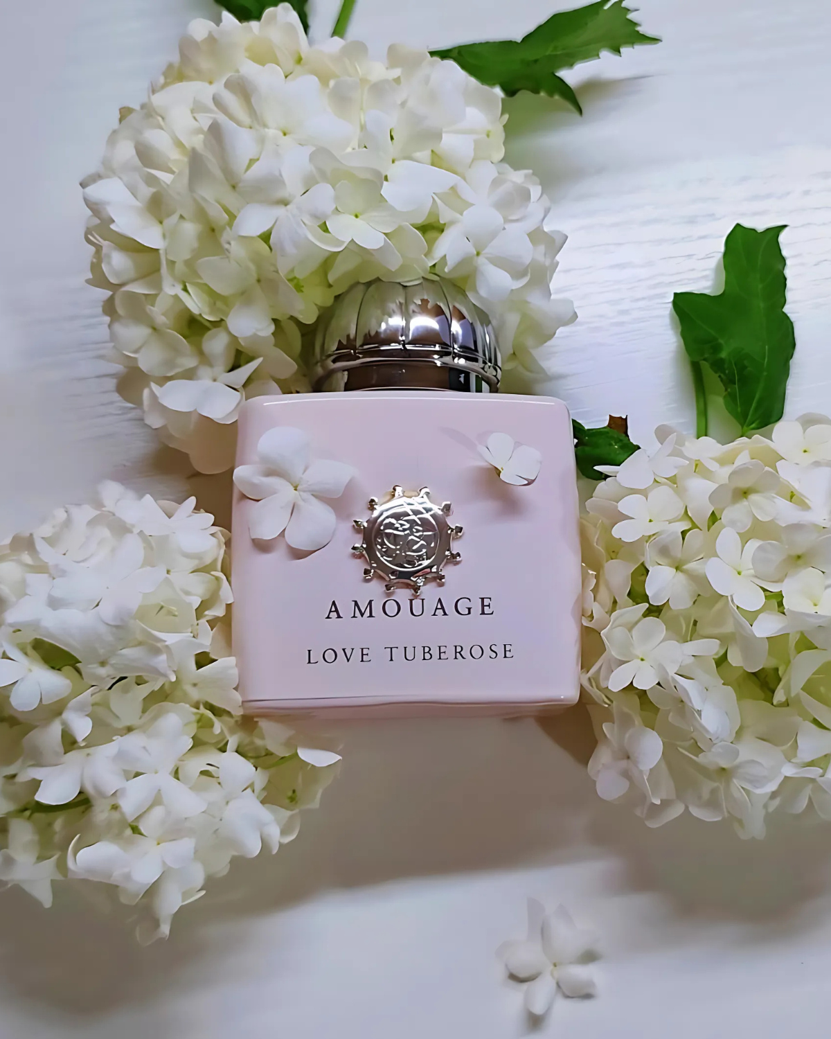 أمواج لوف تيوبروز