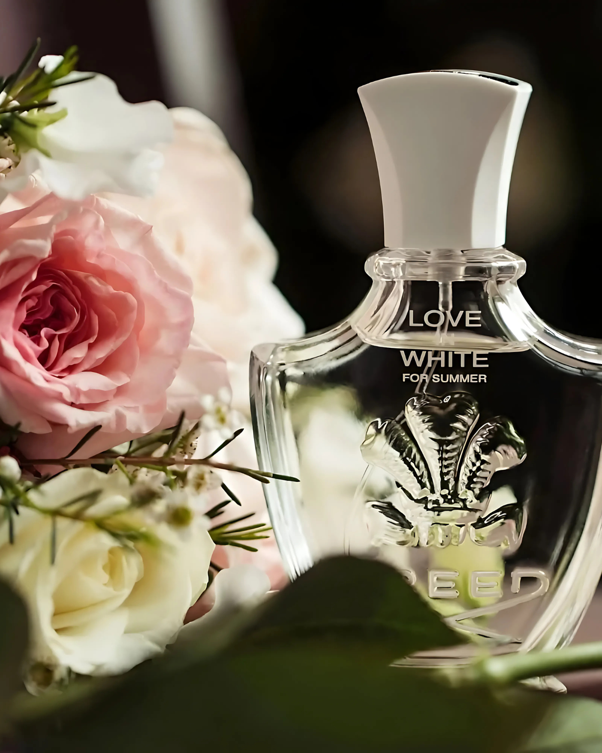 Creed Love en blanc pour l'été