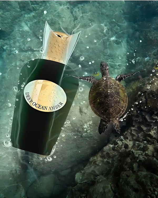 Ambre des profondeurs de l'océan Sospiro