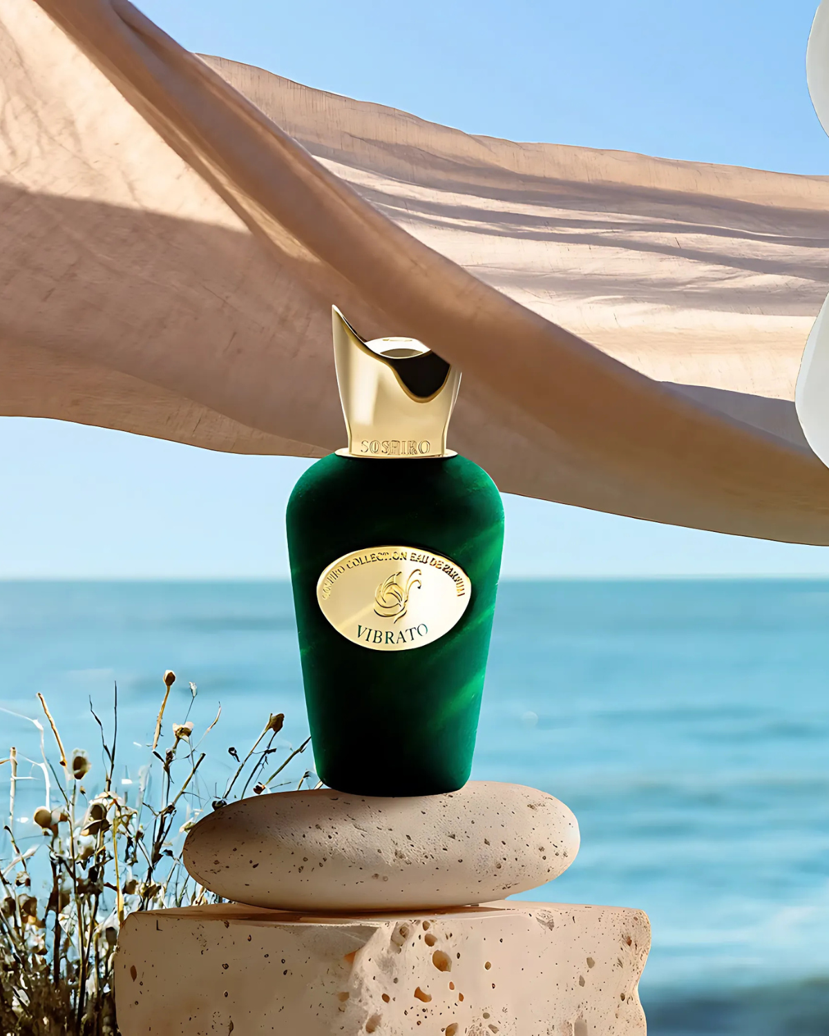 سوسبيرو فيبراتو