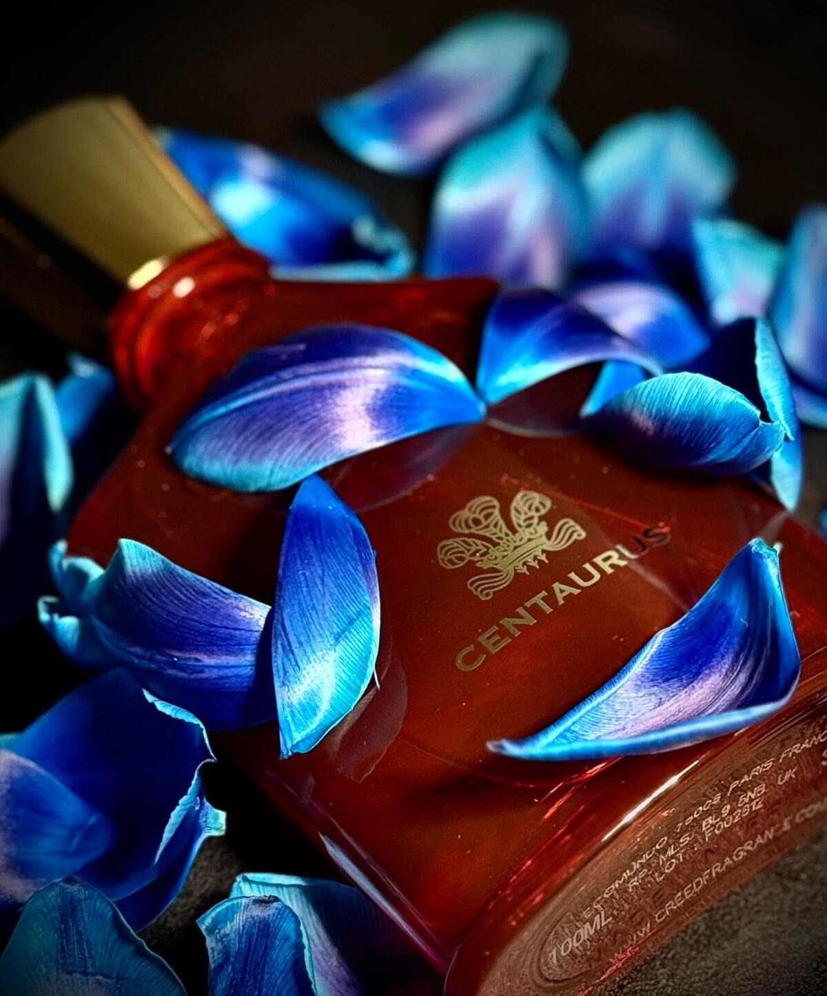 كريد سنتوروس