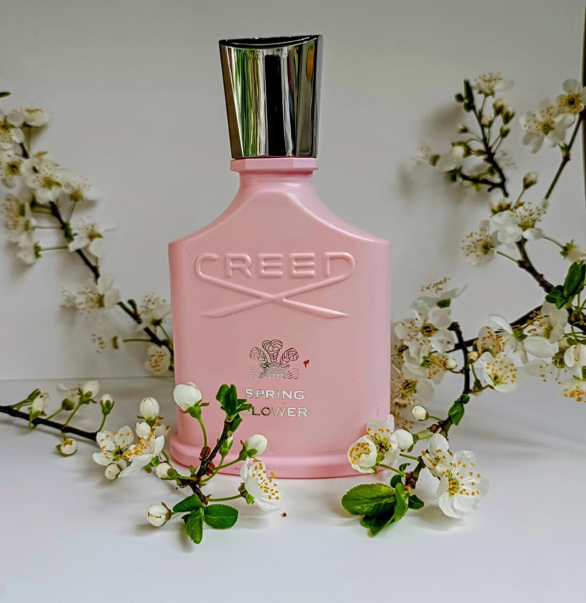 كريد سبرينغ فلاور