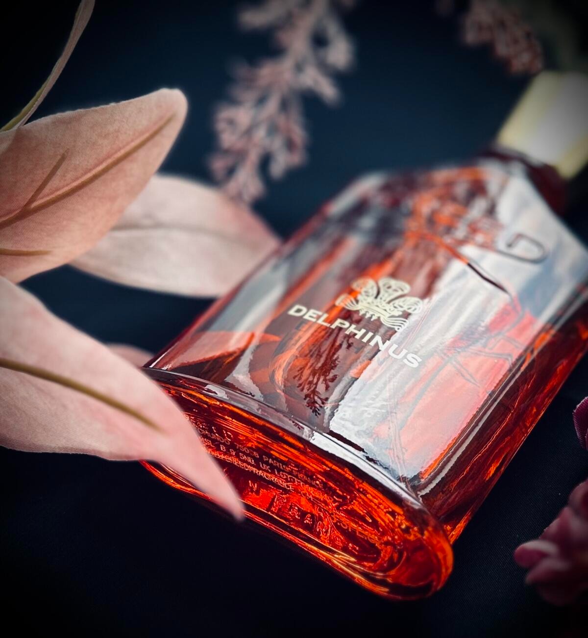 كريد دلفينوس