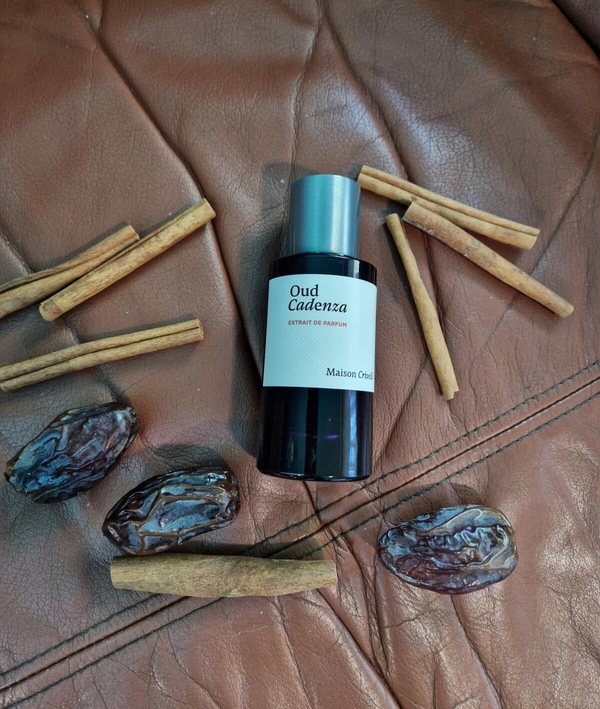 Maison Crivelli Oud Cadenza