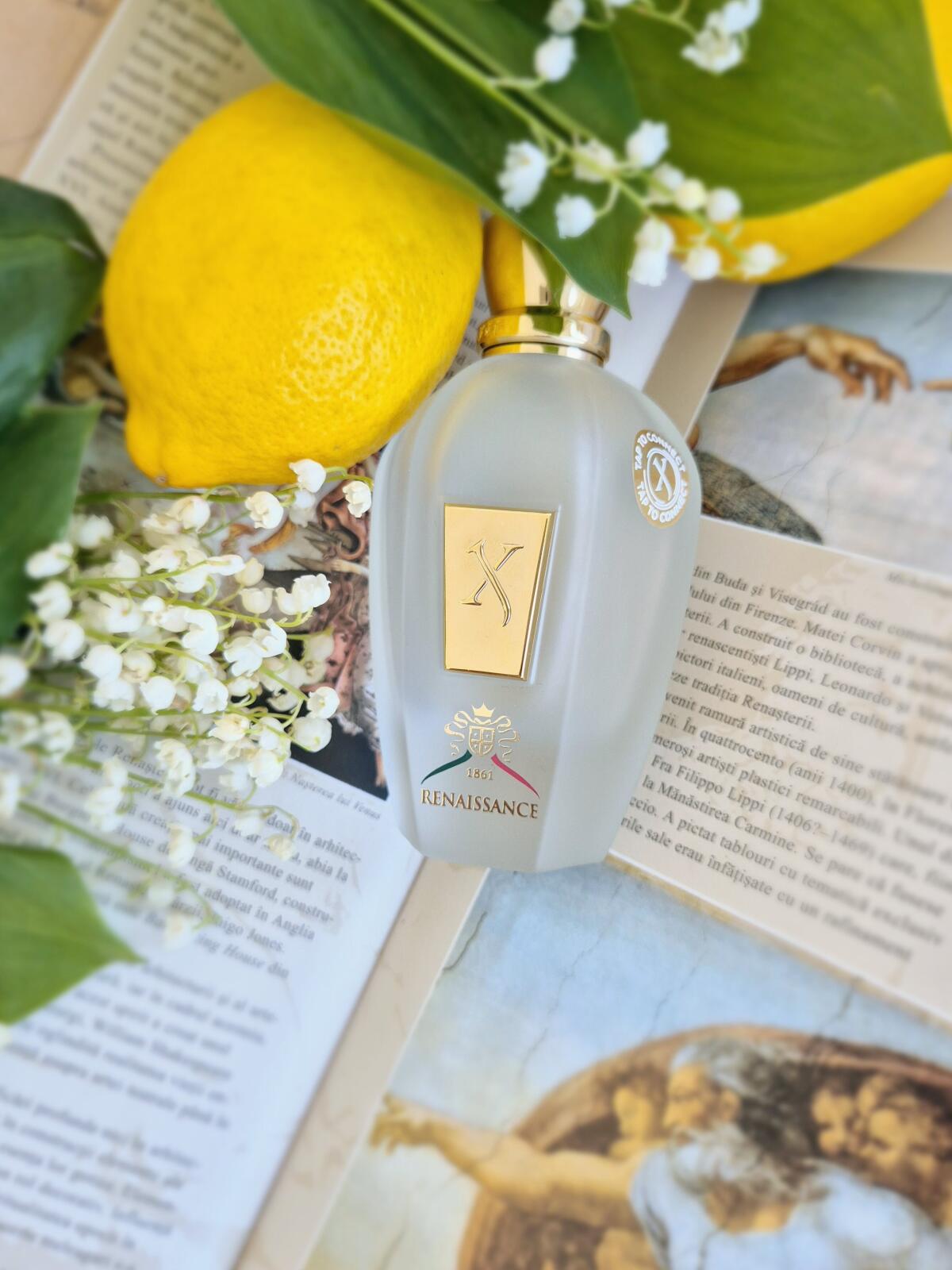 زيرجوف رينيسانس