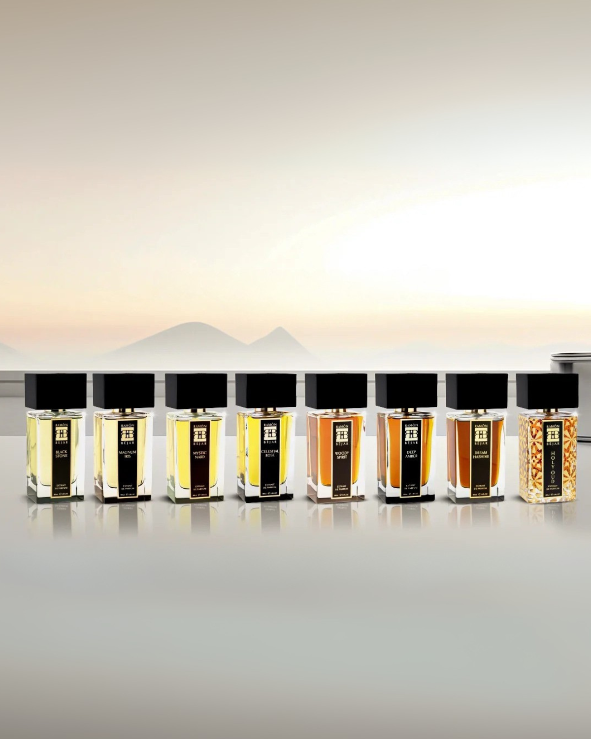 Ramon Bejar Collection