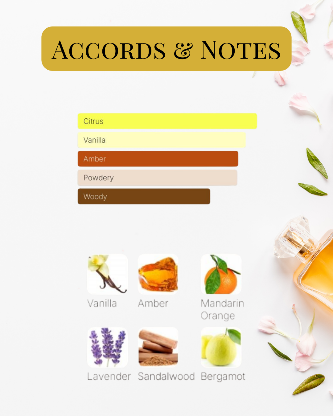 Notes et accords