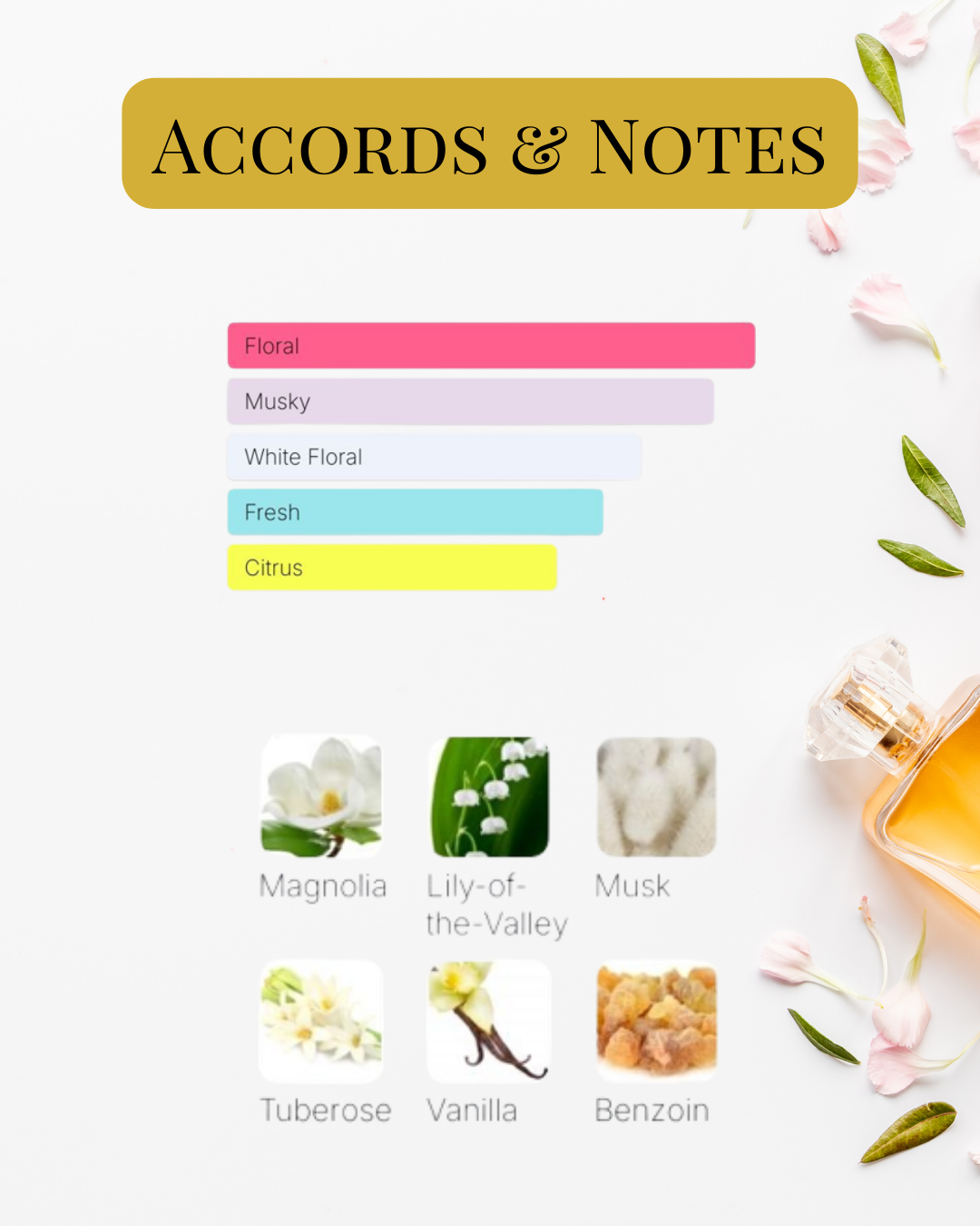 Notes et accords