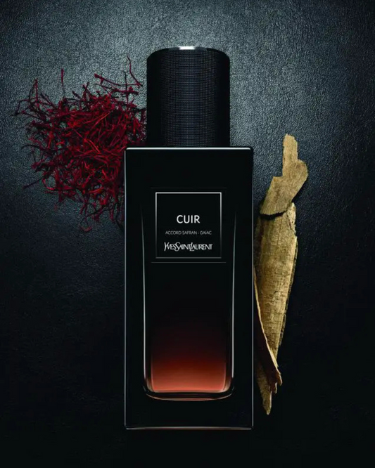 YSL Cuir