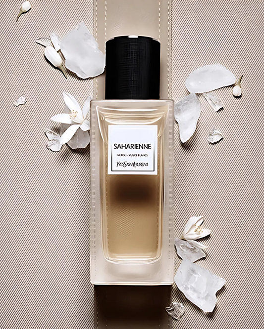 YSL Saharienne