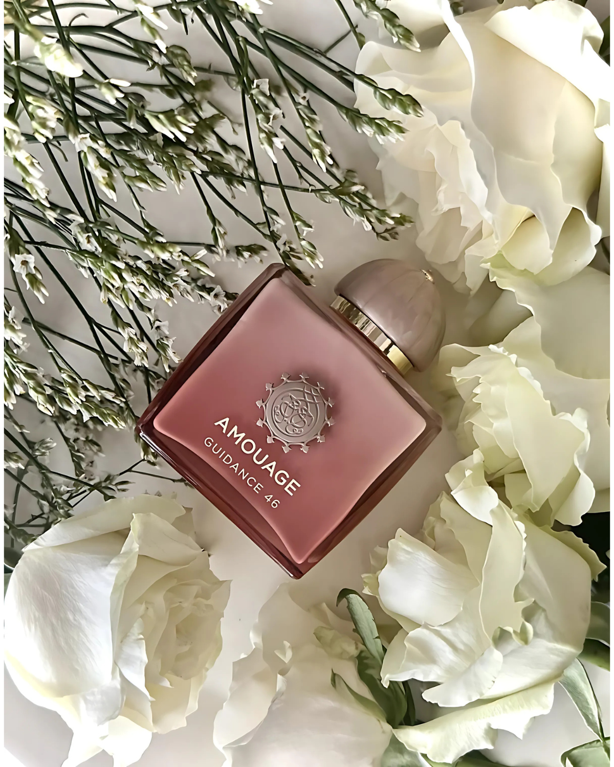 Amouage Guidance 46